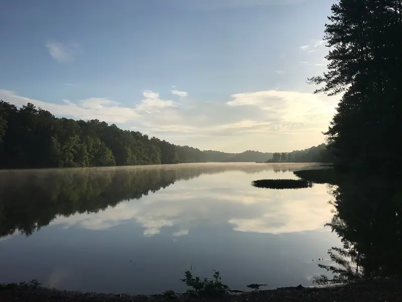 A calm lake at early morning with mist on the water and a tree-lined shore reflected in it, pine trees framing the right side.